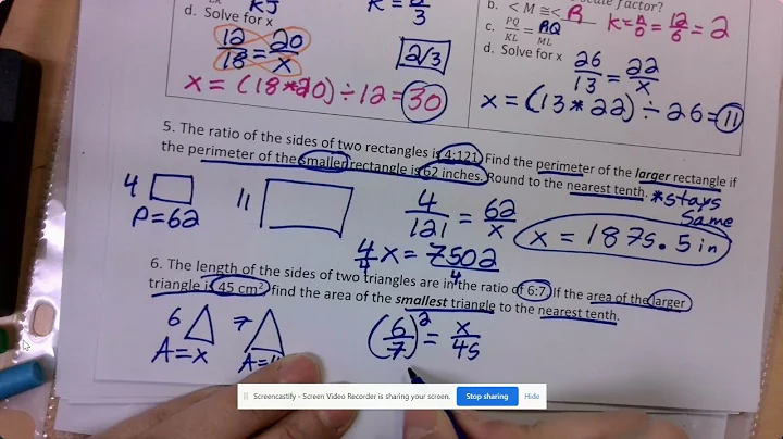 2022 Similar Figures Test Review