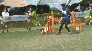 20170604 　ＦＣＩ本部　ＪＰ3　ホッチ