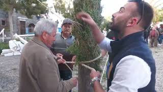 O ΛΑΖΑΡΟΣ ΣΤΟ ΜΕΓΑΛΟΧΩΡΙ 2026