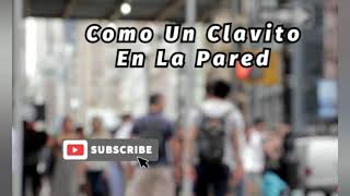 Como Un Clavito La Pared||Latin Music(Kolektivo) Resimi