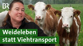 Für mehr Tierwohl: Kälber auf der Weide statt Tiertransport | Bio-Fleisch | Unser Land | BR