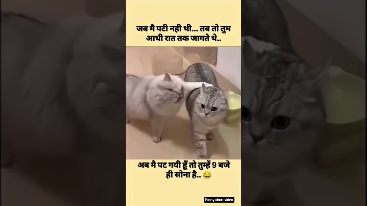 funny short🤣