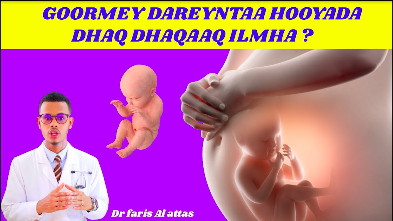 BISHEE HOOYADA UURKA LEH DAREENTAA DHAQ DHAQAAQA ILMHA❓Dr faris