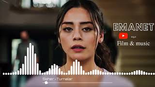 Sıla Türkoğlu _ Allı Turnam - (Emanet Dizi Müziği).. Resimi