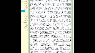 الصفحة (494) من المصحف الشريف ( سورة الزخرف - مشروع حفظ القرآن الكريم )