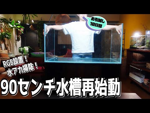 アクアリウム】90センチ水槽の再始動（まずは水アカを除去して