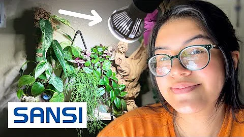 New SANSI Grow Lights! Review and Updates