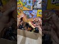 ASMR Jurassic World Dinosaur Toy Collection