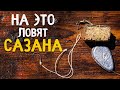 САМАЯ простая и ЭФФЕКТИВНАЯ снасть на сазана. Вариант3 Астраханский макушатник.Как установить жмых?