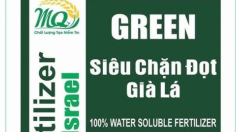 Mận An Phước Tạo mầm tốt sẽ như thế nào?
