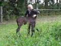 Foal gets scared by dog at first and then gets pretty playful