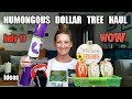 HUMONGOUS Dollar Tree Haul | Fabulous New Items| Funny Ending/ July 13