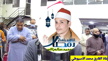 سورة البقرة صلاة التراويح ربع أن الصفا والمروة القاريء محمد الأسيوطي مسجد الرحمن بالخصوص قليوببة