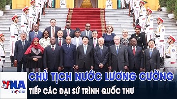 Chủ tịch nước Lương Cường tiếp các Đại sứ trình Quốc thư - VNAMedia
