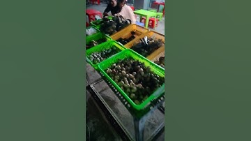 quán ốc vỉa hè đường phố nhỏ mà ngon quá mọi người ơi