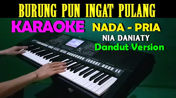 DANGDUT - BURUNG PUN INGAT PULANG | KARAOKE Nada Pria || CIS=DO