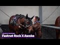 FASTNET ROCK x AWOKE colt stable update