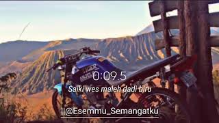 Story WA