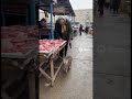 Инспектор кот