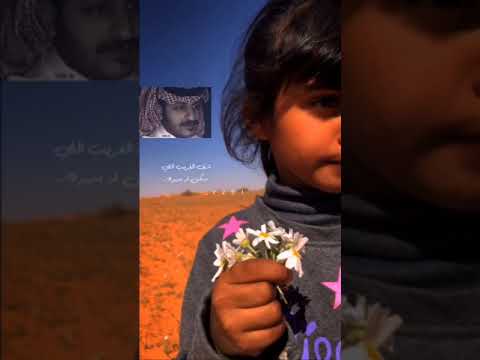 يابنت انا شفي على شوفتش شف شف آلغريب الي سكن له بديره