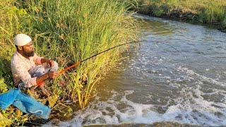 Fish Hunting|Fisherman Catching Baam fishes in  flowed water