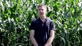 Earth 103 Food Systems Module