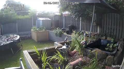 KEEN RANGER PT - The Ultimate Wildlife Spotter