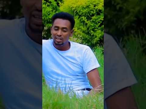 Dhaanto Cusub Xasan Yare 2023