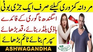 Asgandh Nagori | Types Of Herbal Medicine | Ashwagandha Powder How To Use