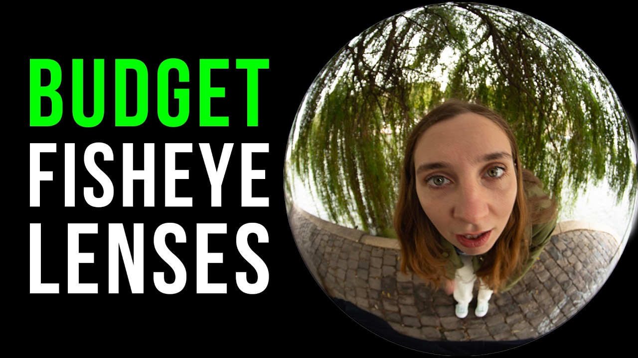 Fisheye Lenses: The Good, the Bad, and the Best