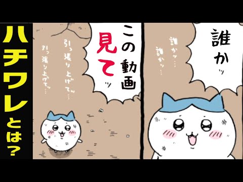 ちいかわのハチワレとは？キャラクター簡単解説【ちいかわアニメちいかわ・なまがわき（ひとりごつ）】【ハチワレちゃんキャラ紹介・後編】