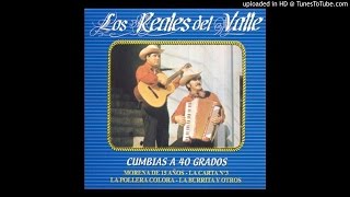 Video thumbnail of "Los Reales del Valle - Rio Maipo / La Pollera Colorada / 40 Grados"