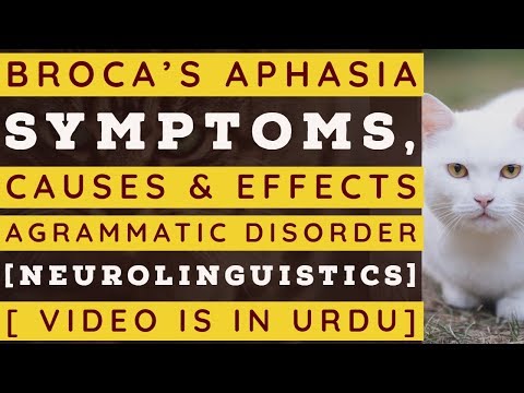 Broca&rsquo;s Aphasia | Symptoms | Causes | Effects | Agrammatic Disorder | Neurolinguistics