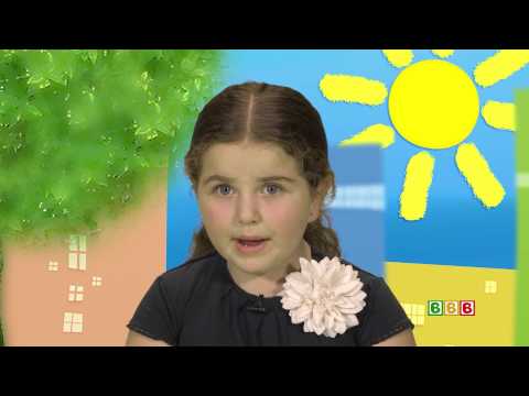 მზესუმზირა – ნუცა მერებაშვილი