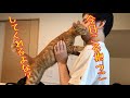 抱っこ大好きな猫が要求してくるので抱っこしてあげた!