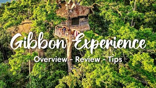 THE GIBBON EXPERIENCE, LAOS (2024) | Overview 3-Day Classic Tour (+ Honest Review & Tips)