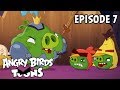 Angry Birds Toons | The Porktrait - S3 Ep7