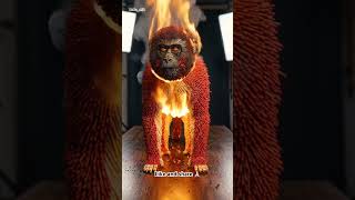 Monkey , #adventure #love #viral #animals #explore #worldwide #telsa