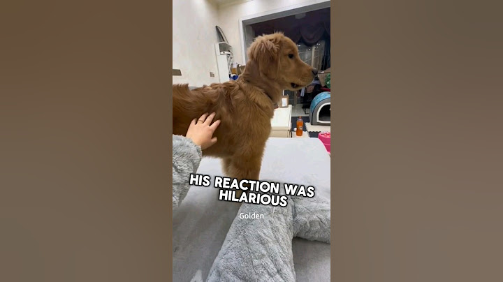 This dog got scared when mom was home #shorts