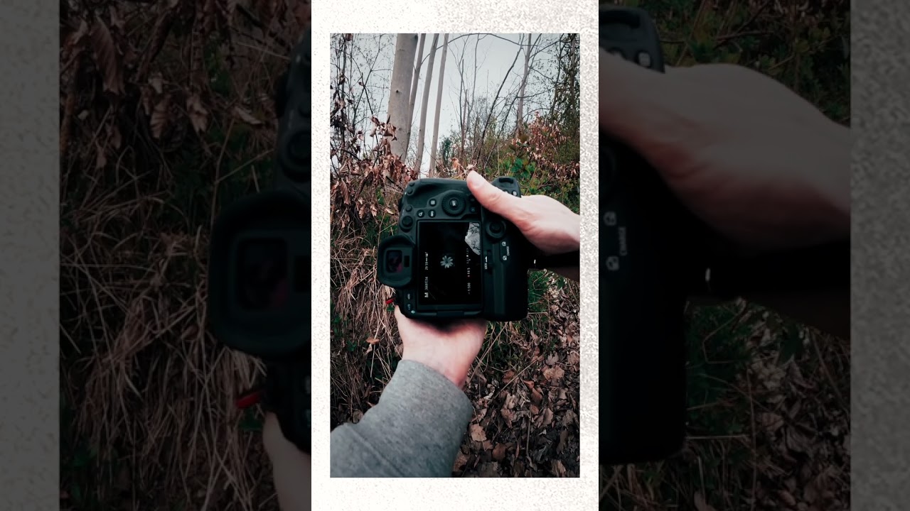 This Prime Lens is amazing!