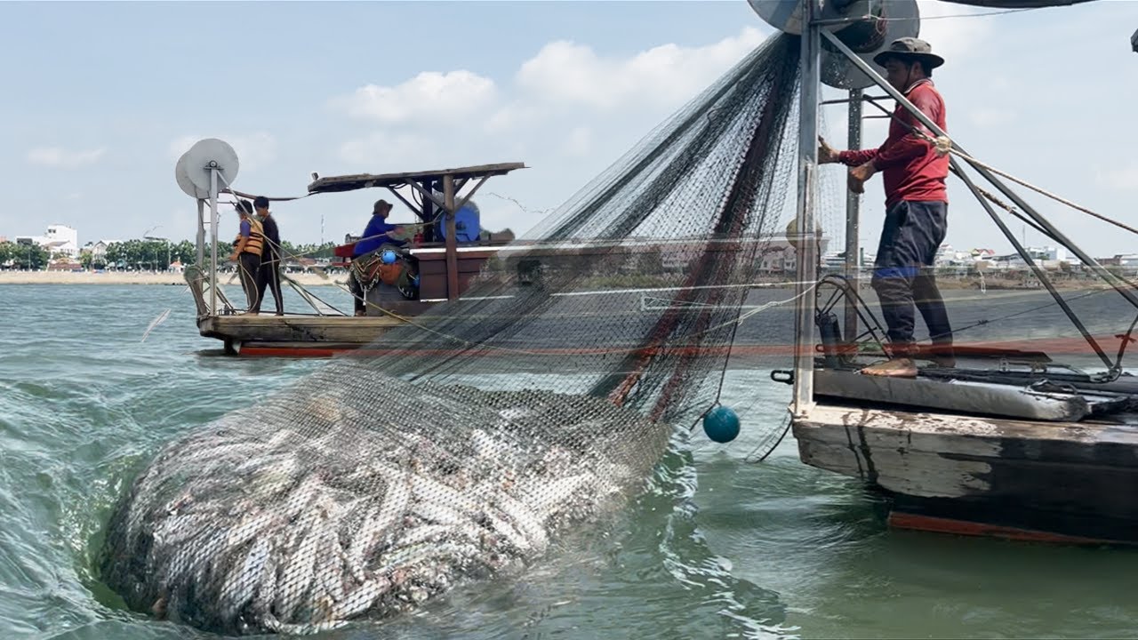 Gia đình mưu sinh mấy đời bằng nghề cào dép trên sông - Sông Nước Cửu Long - Nguyễn Hùng