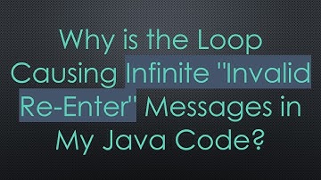 Why is the Loop Causing Infinite "Invalid Re-Enter" Messages in My Java Code?