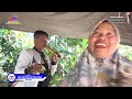 Menyesal   manuk dangdut ganis putra  live show rancasari rancabugang kec bangodua  im