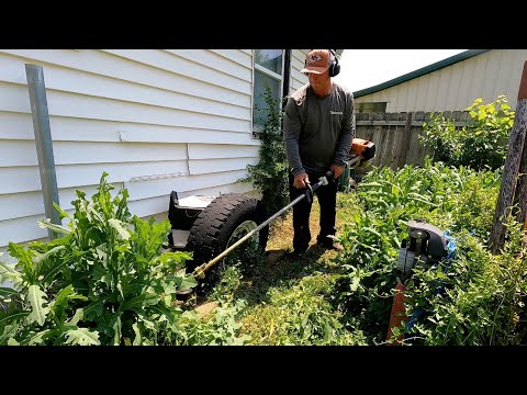 Elderly Man Needs Help Getting OVERGROWN LAWN Back In Shape, SATISFYING RESULT