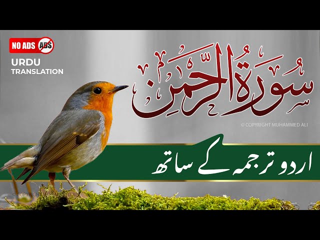 Surah Rahman With Urdu Translation Full | Episode 105 | Quran Tilawat Tarjuma class=