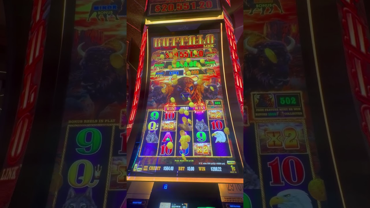 nguyen ngoc ngan che Buffalo slot machine bonus winnings sunset multiplier!HUGE Win! slot bonuswin buffaloslotmachine