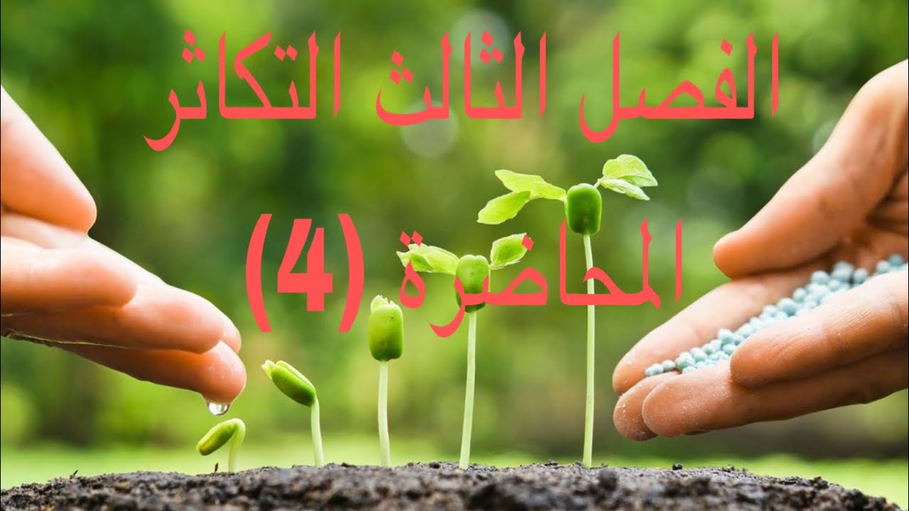 الفصل الثالث المحاضرة الرابعة التكاثر في الفيروسات