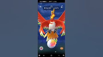 wow new glitch #pokemongo #glitch #cool #raid