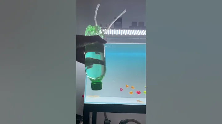 Automatic aquarium filling #aquarium #fish #diy #aquariumsetup #fishtank