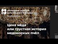 Лекция 5. Истинная цена мёда  Выживет ли человечество без пчел?